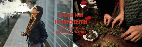 индика Балахна