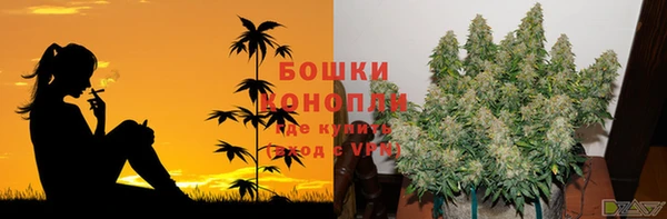 шишки Баксан