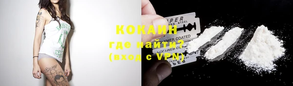 шишки Баксан