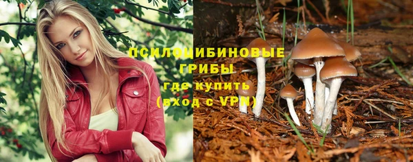 индика Балахна