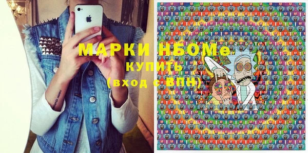 индика Балахна