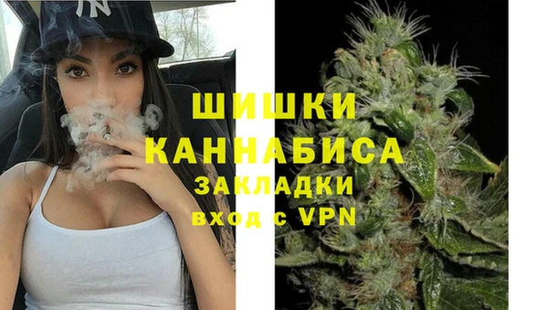 индика Балахна