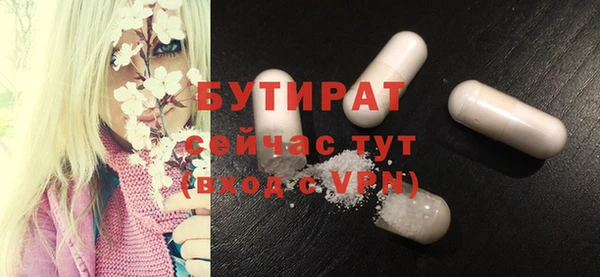 индика Балахна