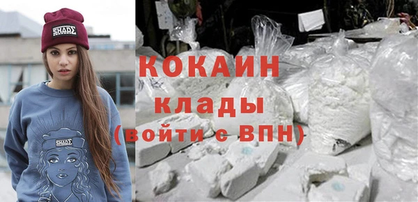 шишки Баксан