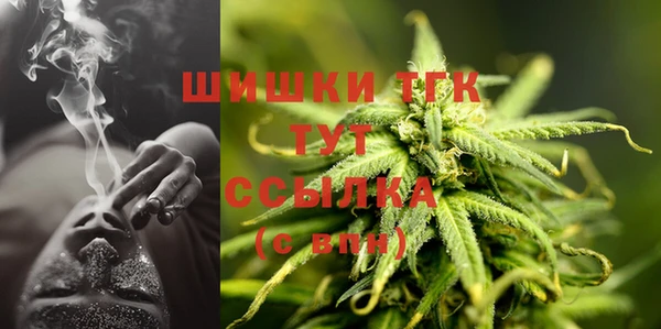 шишки Баксан