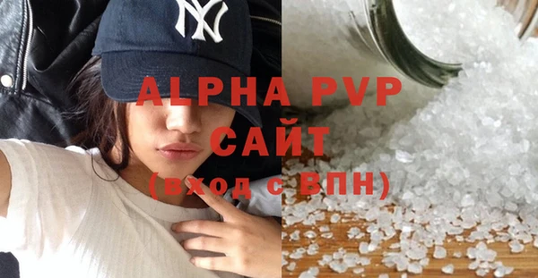 индика Балахна