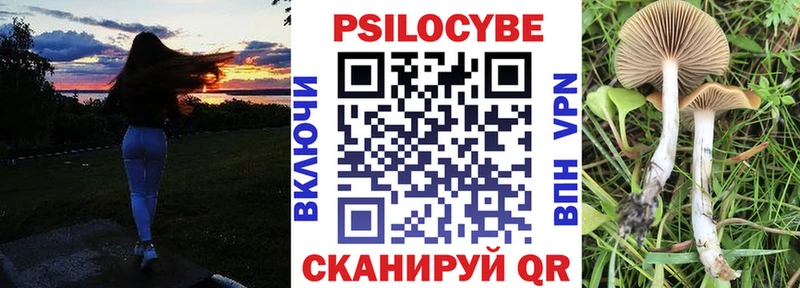 Псилоцибиновые грибы MAGIC MUSHROOMS  дарк нет клад  Заозёрск 